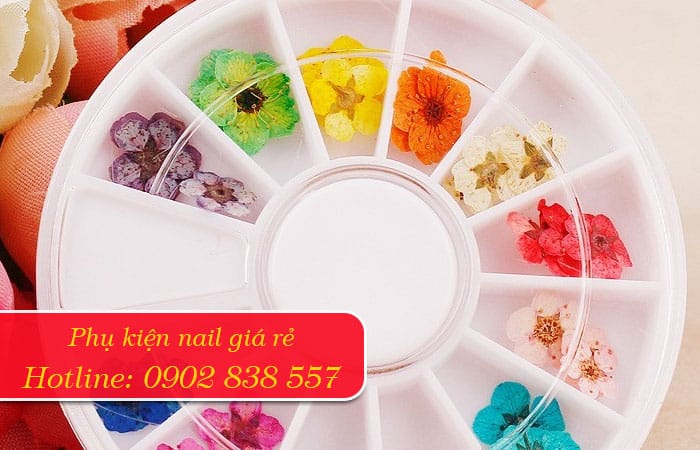 phụ kiện nail giá rẻ