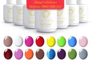 nước sơn gel